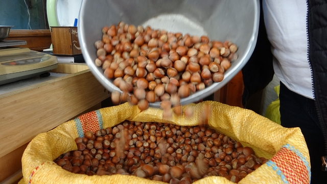 Düzce'den AB ülkelerine 4 bin 452 ton fındık ihraç edildi