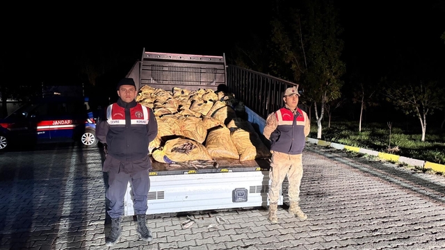 Van'da kaçak avlanan 800 kilo balık ele geçirildi