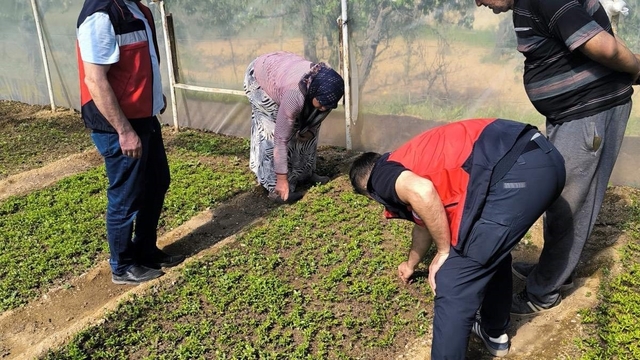 Emet'te seralarda inceleme ve bilgilendirme faaliyetleri