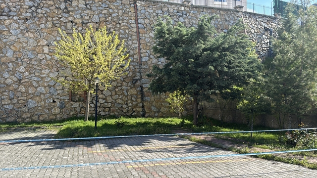 Galeri