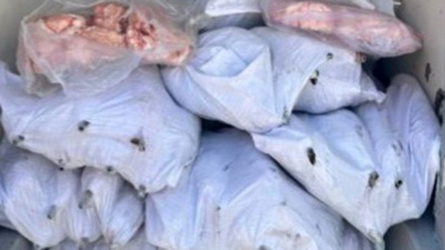Tekirdağ'da 1,5 ton iç yağ ve 140 kokoreç imha edildi