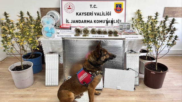 Kayseri'de uyuşturucu operasyonu