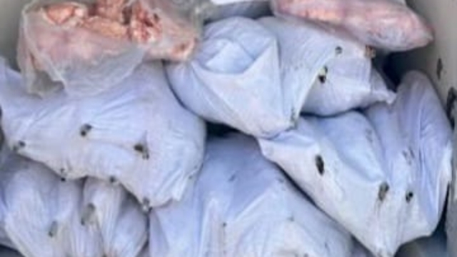 Tekirdağ'da 1500 kilogram iç yağ ve 140 kokoreç imha edildi