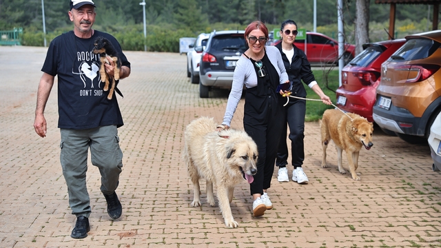 Büyükşehir Bakımevi'nde can dostlar sıcak yuvalarına kavuşuyor