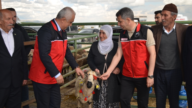 Muş'ta 170 kadın çiftçiye 3 bin 400 küçükbaş hayvan dağıtılmaya başlandı