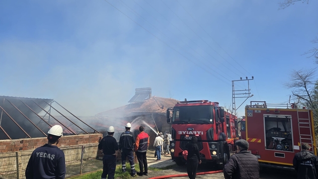 Ordu'da 3 katlı binada yangın