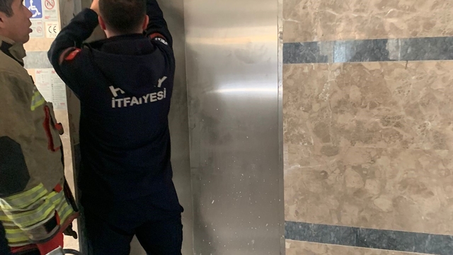 Asansör boşluğuna düşen yavru kediyi itfaiye kurtardı