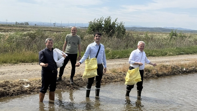 İpsala'da çeltik ekim sezonu başladı