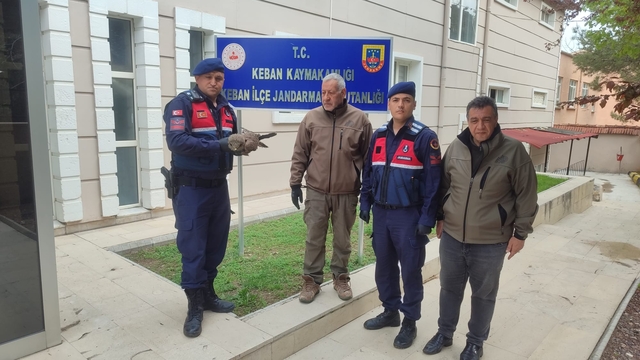 Elazığ'da yaralı bulunan kartal tedavi altına alındı
