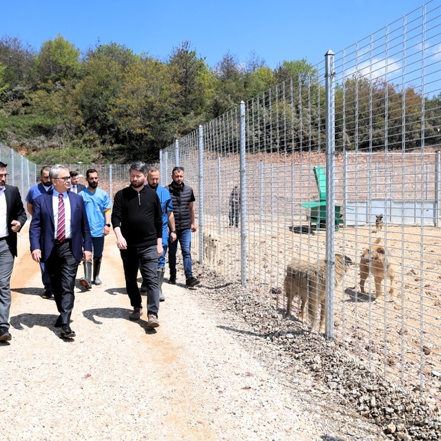 Kocaeli'de 650 köpek kapasiteli yeni barınak hizmete alındı
Sokak hayvanlar...