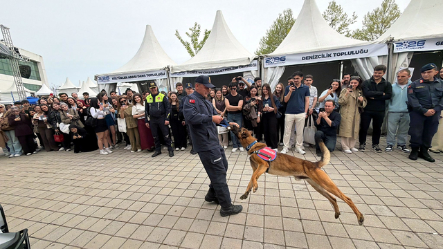 Jandarmanın arama-kurtarma köpeği Çınar'ın son gösterisi, ilgiyle izlendi