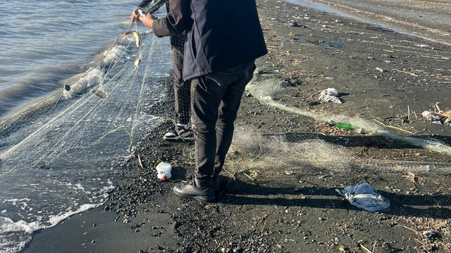 Van Gölü'ne atılan 200 metre uzatma ağında yakalanan 100 kilo canlı balık, tekrar suya bırakıldı