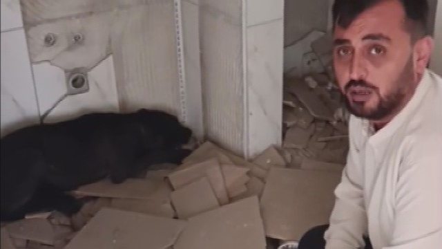 Canını hiçe sayan hayvanseverin ağır hasarlı binadan köpeği kurtardığı anlar kamerada