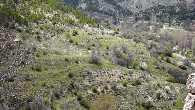 Galeri