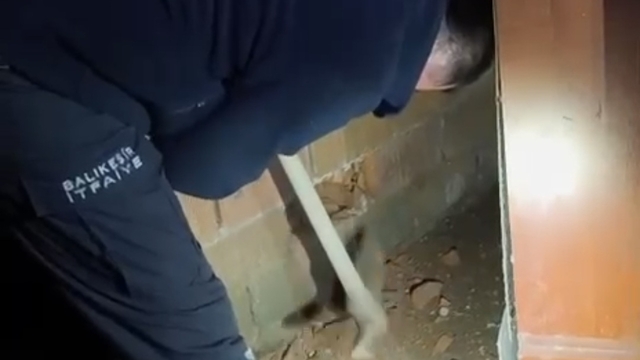Balıkesir'de iki duvarın arasına sıkışan kedi yavrusu kurtarıldı
