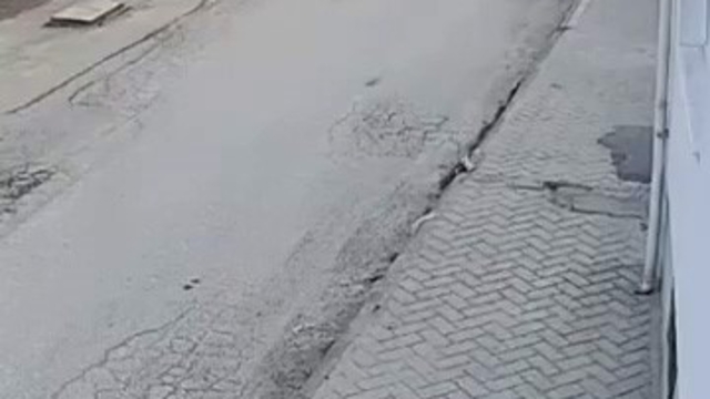 Bir anda koşup havlayan köpek küçük çocuğu korkuttu
Korkan çocuk panikle ablasının yanına doğru kaçtı