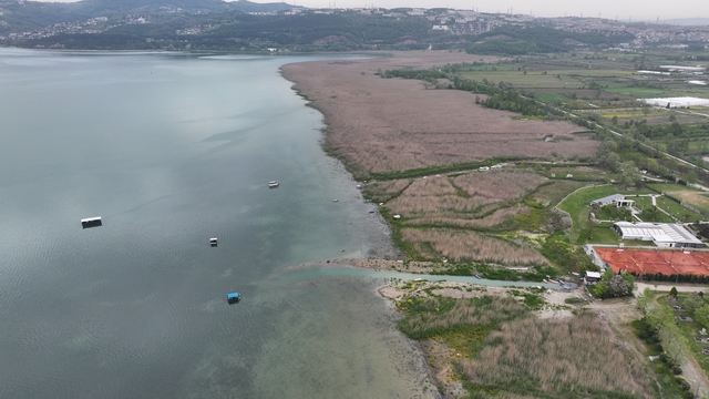 Galeri