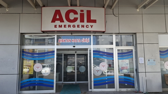 Adıyaman'da çağla yiyen 6 öğrenci hastanelik oldu