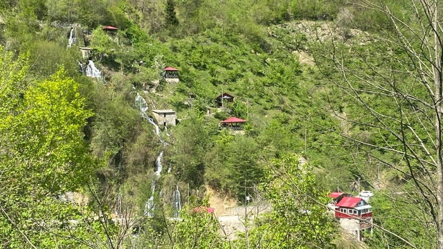 Galeri