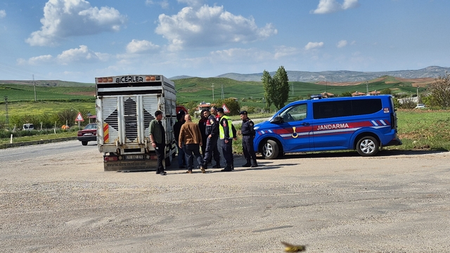 Bahşılı'da kurbanlık denetimi