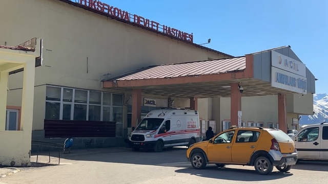 Yüksekova'da patlama: 1 çoban yaralı, 3 koyun telef oldu