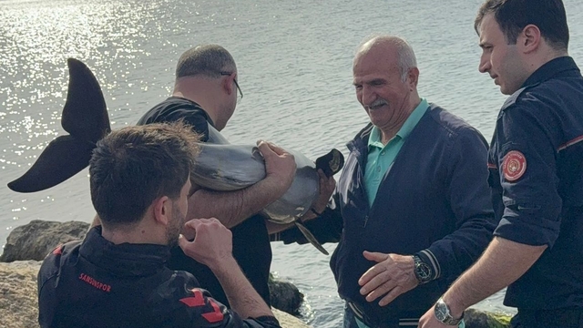 Samsun'da kayalıklara sıkışan yunusu polis kurtardı