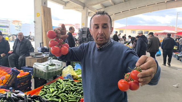 Domates fiyatlarının yüksek olmasının sebebi soğuk hava