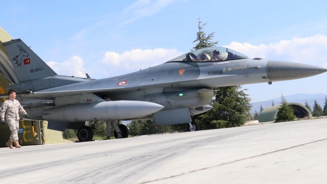 Türk jetleri, EFES tatbikatında
