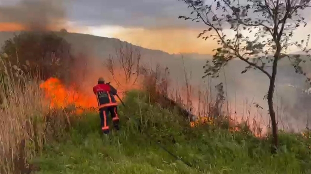 Elazığ'da otluk alanda yangın