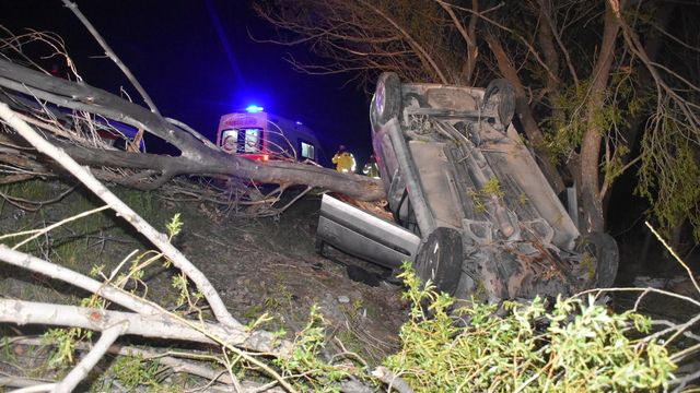 Sivas'ta otomobil yol kenarındaki ağaca çarpıp devrildi: 1 ölü, 4 yaralı
