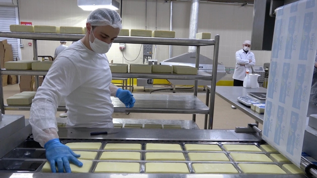 Erzincan'da günlük 45 ton kapasiteli süt fabrikası çiftçiye gelir sağlıyor