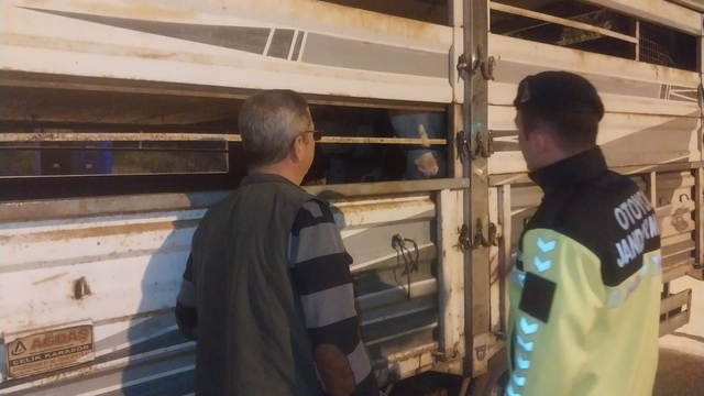Edirne'de belgesiz hayvan sevkine ceza