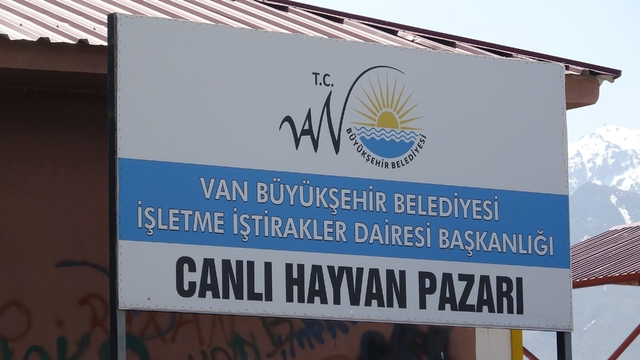 Van'da hayvan pazarında silahlı kavga: 1 ölü, 13 yaralı