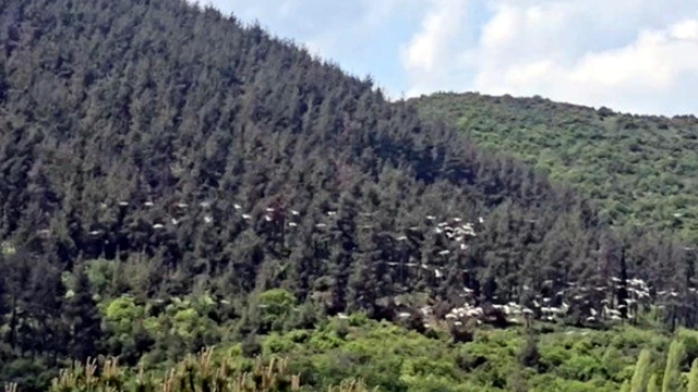 Galeri