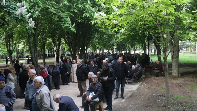 Kayseri'de 300 bin domates fidesi dağıtıldı; metrelerce kuyruk oluştu