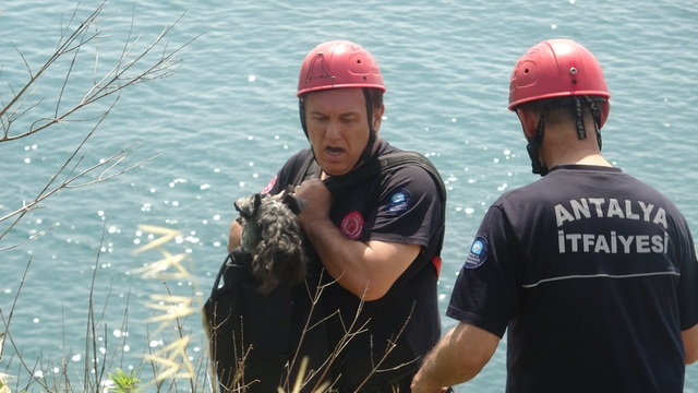Kedi kovalarken falezlerden düşüp mahsur kalan köpeğe film gibi kurtarma operasyonu
40 metrelik falezlerden halatla inip  mahsur kalan köpeği kurtardılar
Kedisi kurtarılan kadın sevincini itfaiye erine sarılarak gösterdi
