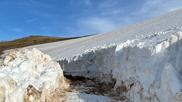Giresun'da mayıs ayında kar mücadelesi