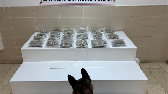Galeri