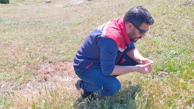 Koçarlı'da zararlılara karşı tespit ve mücadele çalışmaları sürüyor