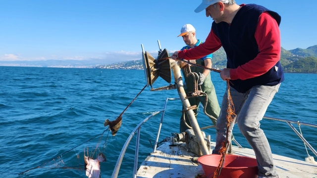 Kalkan av yasağı denetimlerinde 3 bin metre ağa el konuldu