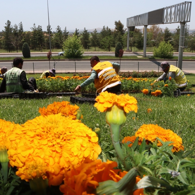 Şanlıurfa çiçeklerle donatıldı