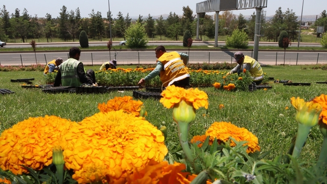 Şanlıurfa çiçeklerle donatıldı