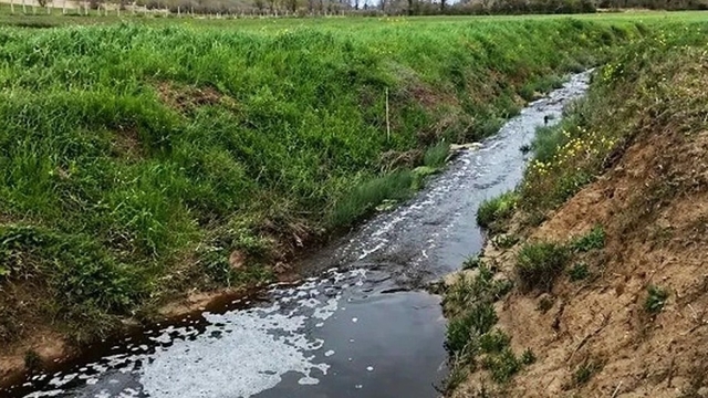 Sinop'ta çevreyi kirleten tesise 1.6 milyon TL ceza