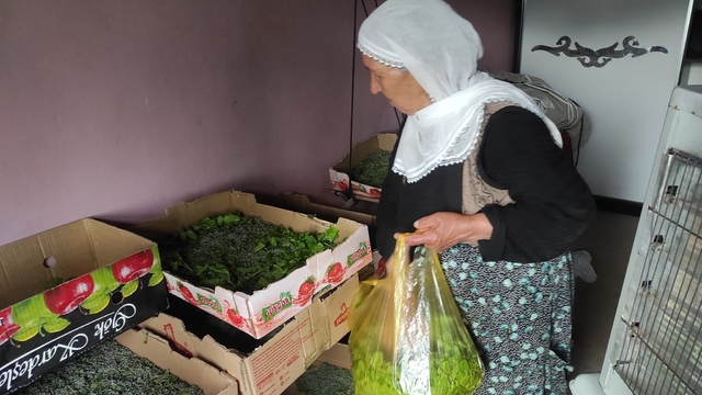 Batman'da 72 aileye ipek böceği larvası dağıtıldı