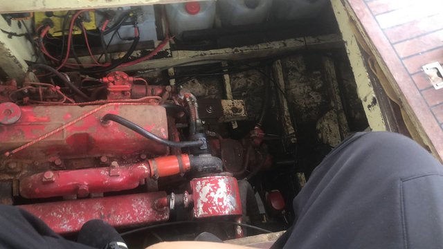 Çınarcık'ta teknenin motor bölümüne sıkışan kediler kurtarıldı