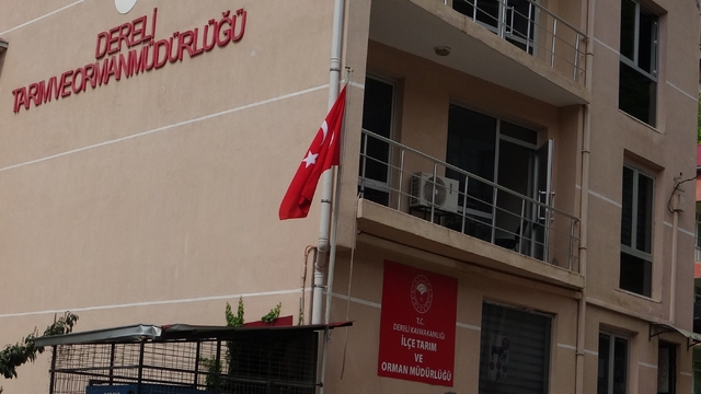 Giresun'un Dereli İlçe Tarım ve Orman Müdürlüğü'nde kamu zararı iddialarıyla ilgili soruşturma başlatıldı