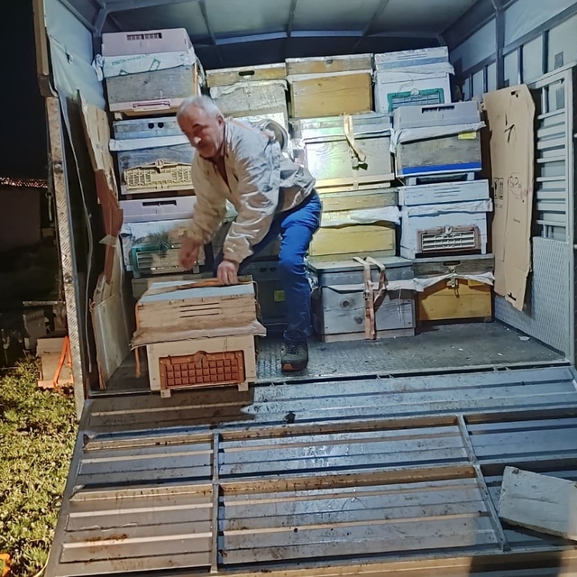 Karadeniz'in gezgin arıcıları yeni sezon için Doğu Anadolu'nun dağlarını me...