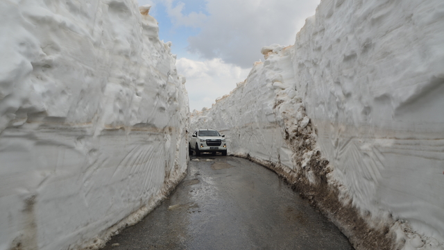 Galeri