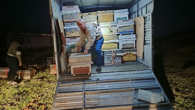 Karadeniz'in gezgin arıcıları yeni sezon için Doğu Anadolu'nun dağlarını mesken tuttu