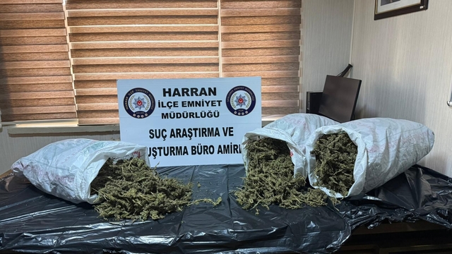 Şanlıurfa'da 8 kilo 240 gram esrar ele geçirildi